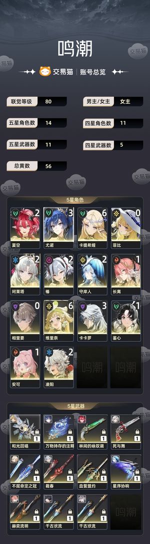 鸣潮【80级】 满链卡提西娅