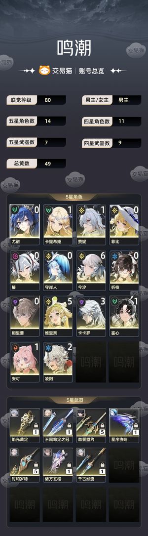鸣潮【80级】 65今汐5链维