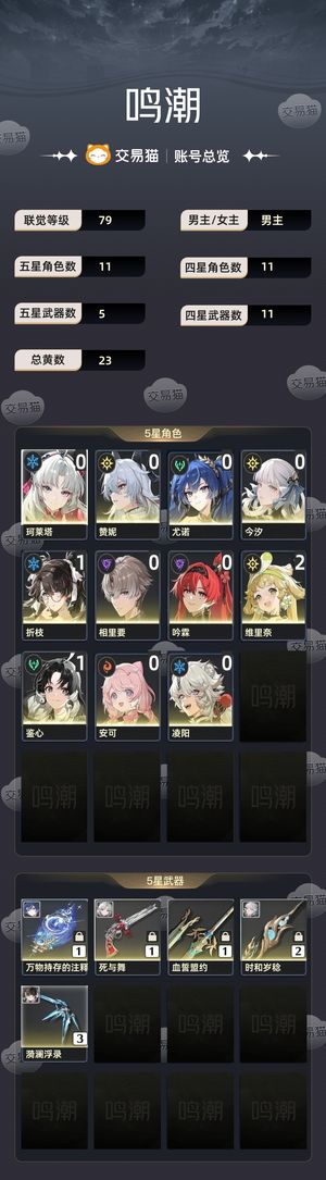 鸣潮【79级】 鸣潮自玩号