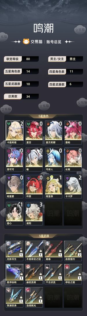 鸣潮【80级】 21卡提，两万星声