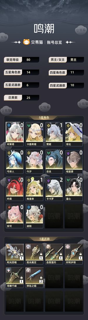 鸣潮【80级】 号里2w星声价格好说可以刀