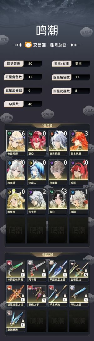 鸣潮【80级】 满命卡提专武，三命奥古 专武