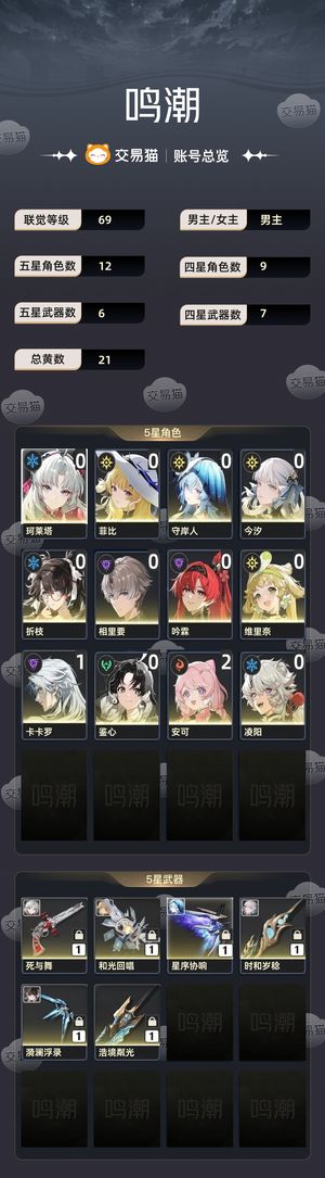 鸣潮【69级】 鸣潮开服号低价出售