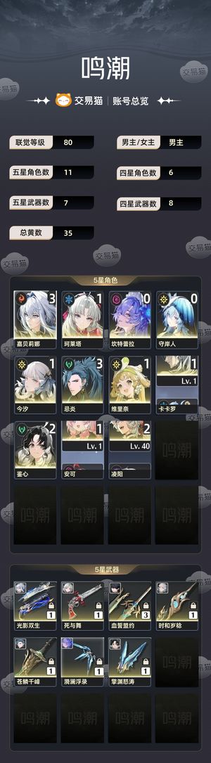 鸣潮【80级】 3链嘉贝莉娜，3链忌炎