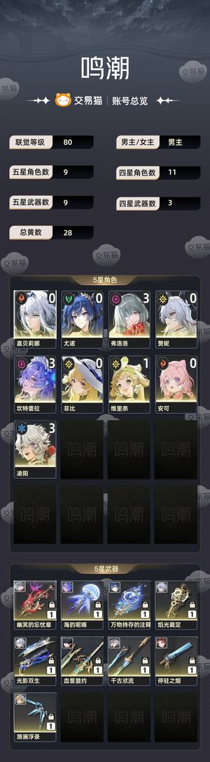 鸣潮【80级】 31弗坎，01赞尤嘉光暗重击队