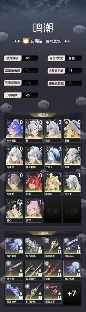 鸣潮【80级】 开服自玩号 31嘉贝up全01