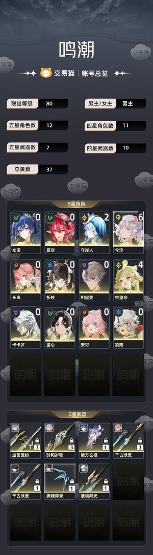 鸣潮【80级】 6 3今汐