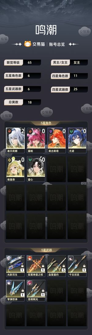 鸣潮【65级】 嘉露队加日月队，手工号