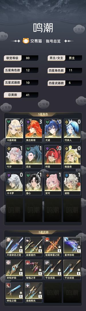 鸣潮【80级】 退坑出看上拍可小刀