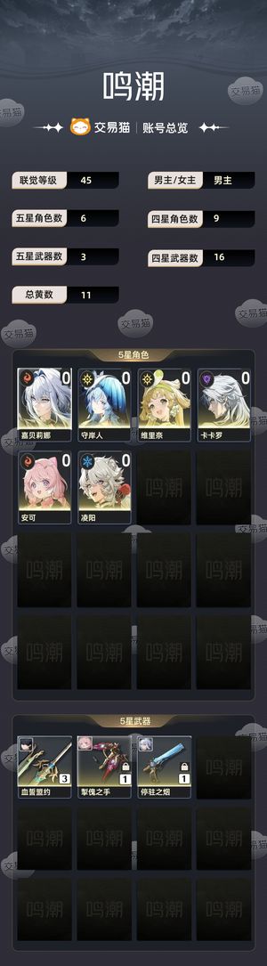 鸣潮【45级】 新手号嘉贝莉娜守岸人10浮金