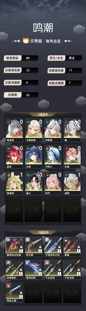 鸣潮【80级】 鸣潮多角色0 1 卡提风队