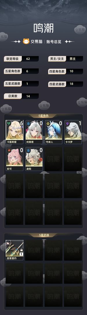 鸣潮【62级】满命卡提，守岸人 珂莱塔