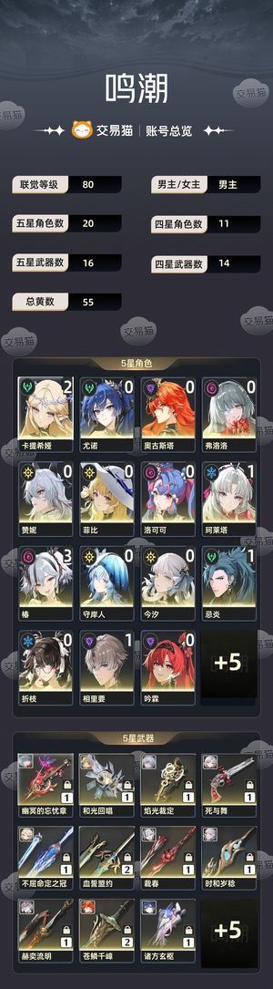 鸣潮【80级】 21卡提31椿，卡池大保底