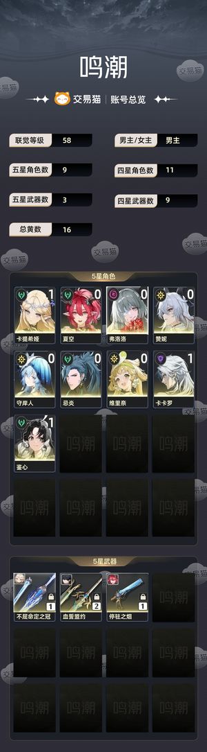 鸣潮【58级】 11卡提00弗夏守忌赞全图没动