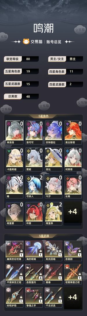 鸣潮【80级】 看图,可刀