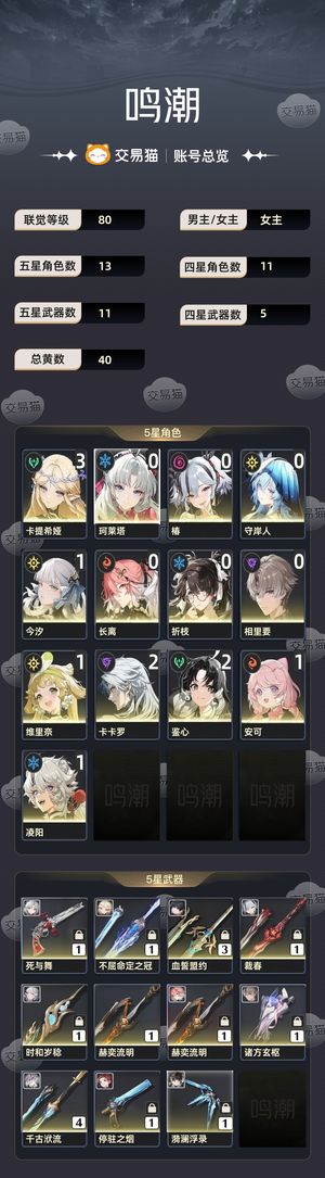 鸣潮【80级】 3+1卡提3w星声35黄球