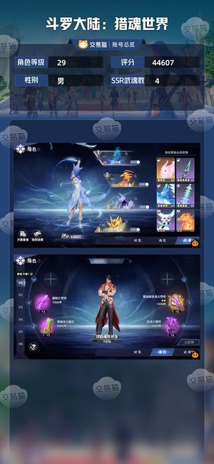 斗罗大陆：猎魂世界【29级】新区第二天满进度