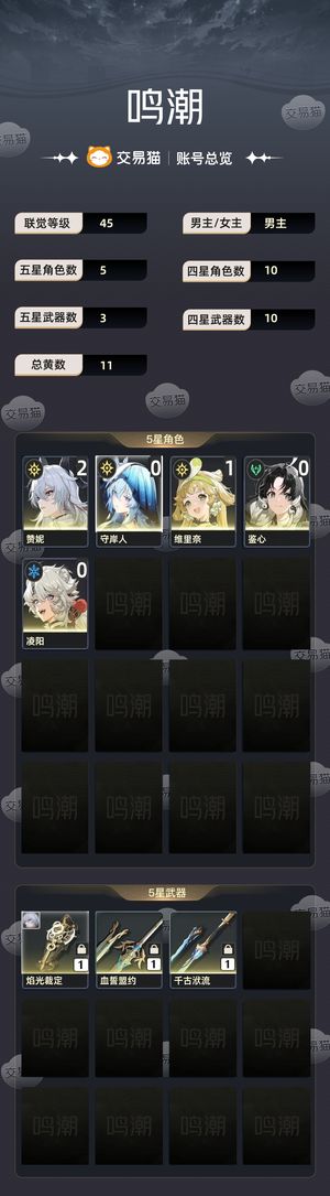 鸣潮【45级】 有2 1赞尼,有守岸人