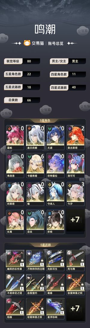 鸣潮【80级】 6 1卡提西亚多角色