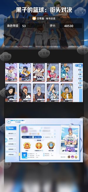 黑子的篮球：街头对决【53级】 Z青Z紫全满
