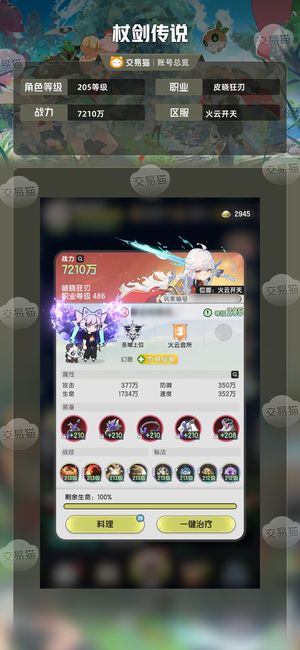 杖剑传说【苹果版】【205级】9w顶氪称号斗士0.3折