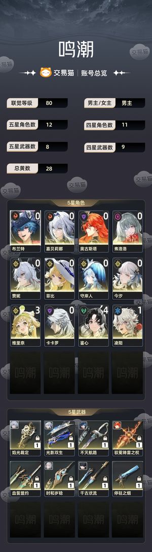 鸣潮【80级】 80级 男主 五星12