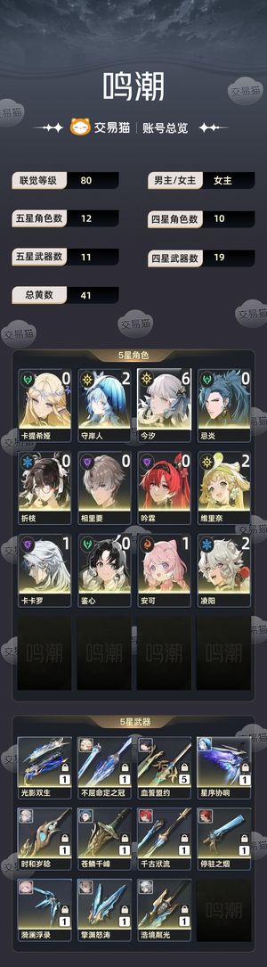 鸣潮【80级】 满命今汐 配队