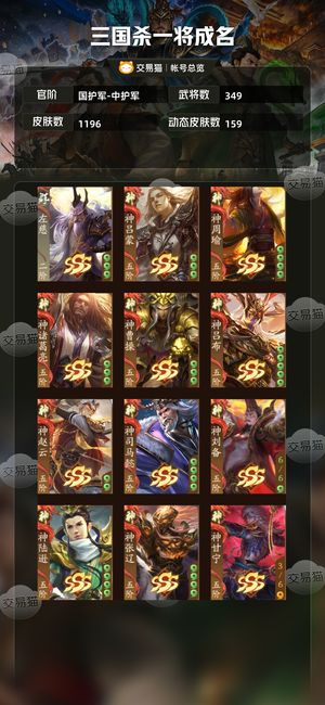 三国杀一将成名（三国杀十周年）【国护军-中护军】武陆逊神张飞神钟会神张角