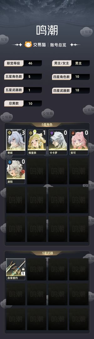 鸣潮【46级】 4 0的赞妮