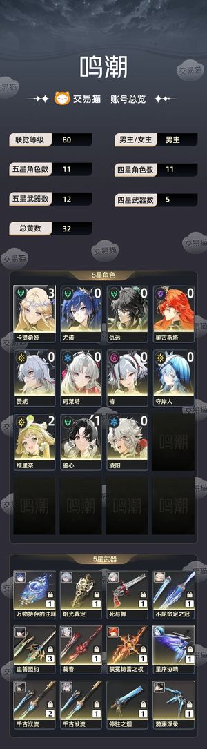 鸣潮【80级】 各种t0配队，完美账号