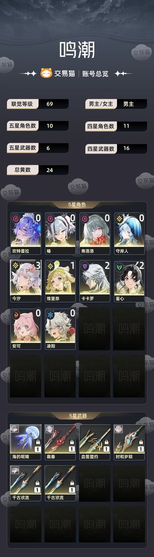 鸣潮【69级】 3命汐加专武带皮肤