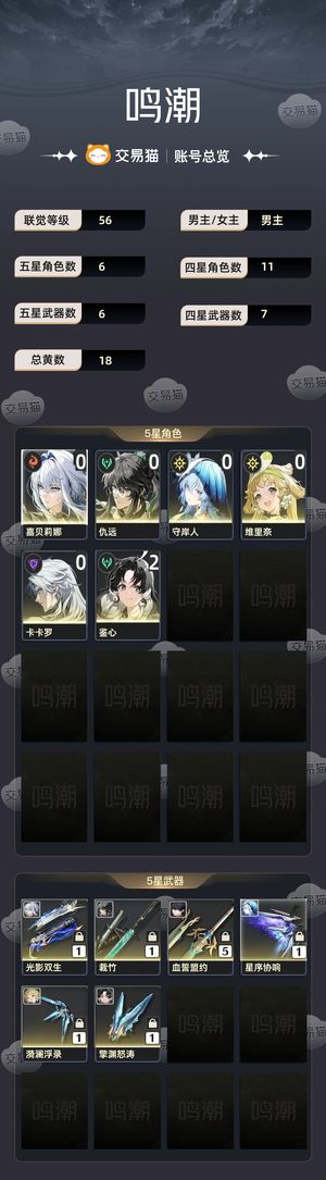 鸣潮【56级】 嘉贝莉娜 声骸队 仇远 守岸人