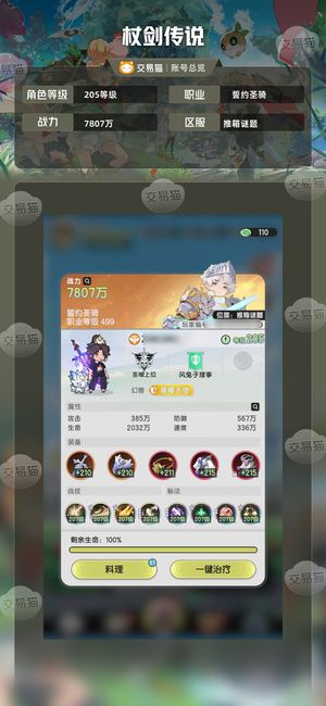 杖剑传说【205级】5.8万5转全神话45张技能券