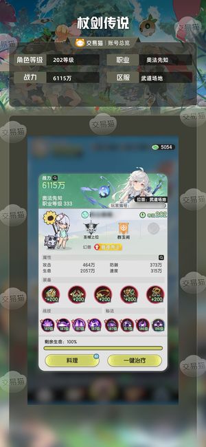 杖剑传说【202级】6120万3奇迹排行22材料多