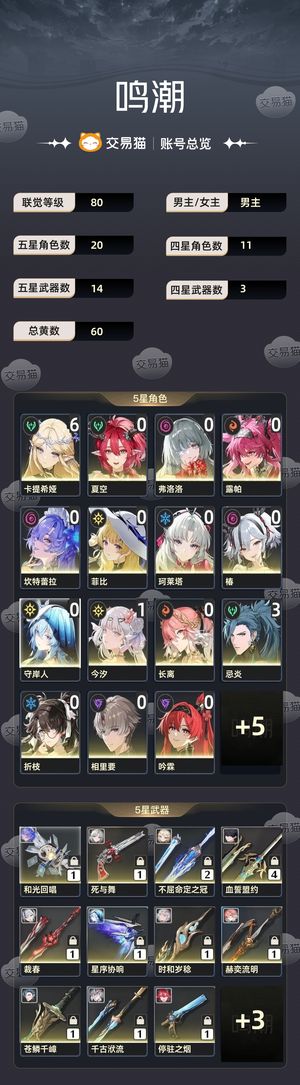 鸣潮【80级】 61卡提，皮肤全，300抽