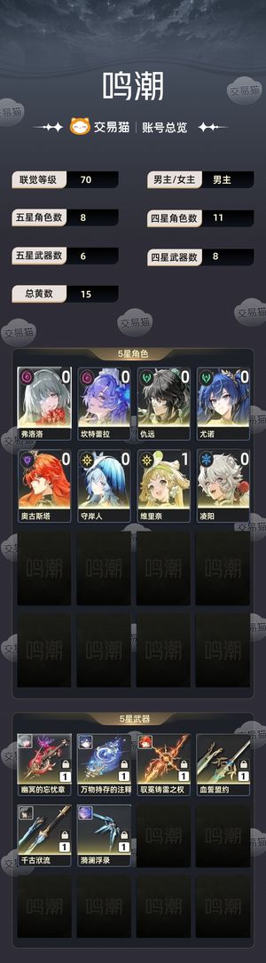 鸣潮【70级】 t0级性价比超高队伍号