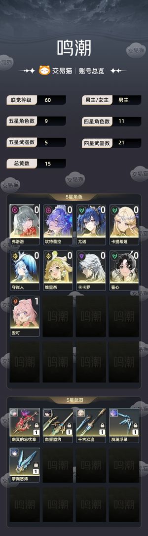 鸣潮【60级】 鸣潮T0号