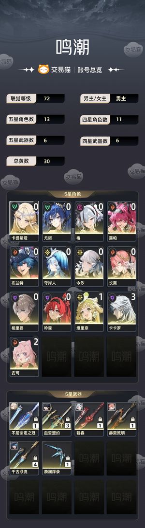 鸣潮【72级】 退游没空玩