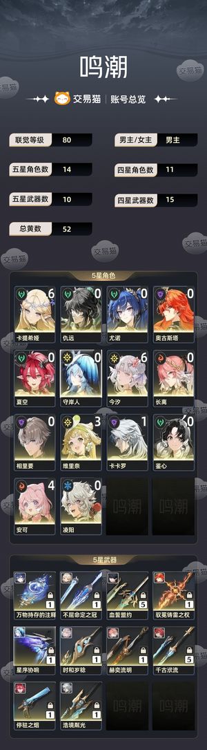 鸣潮【80级】61卡提，61今汐，日月队