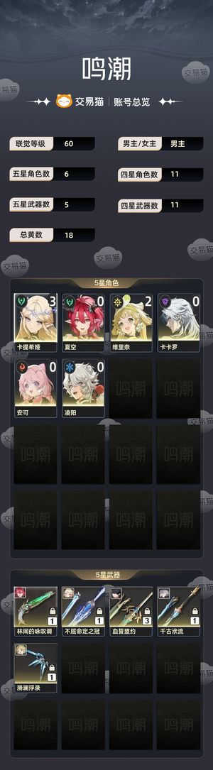 鸣潮【60级】 31卡提01夏空