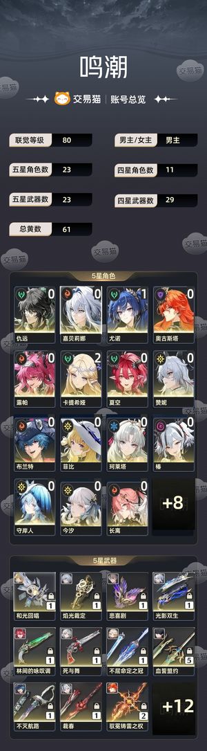 鸣潮【80级】 几乎全角色大量专武月卡剩一百天