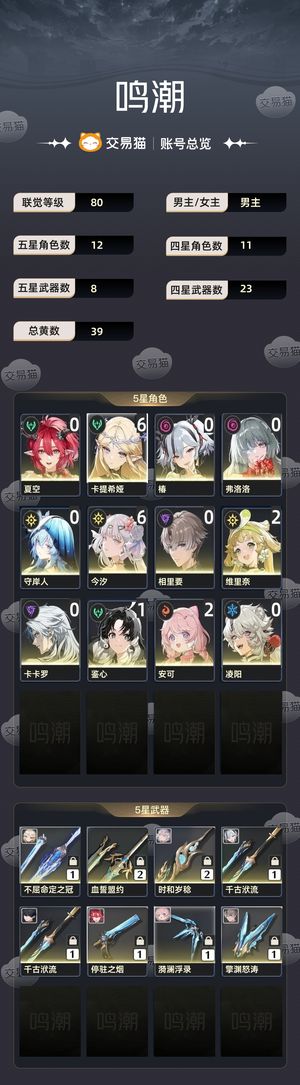 鸣潮【80级】 满命卡提满命今夕今夕皮肤可小刀