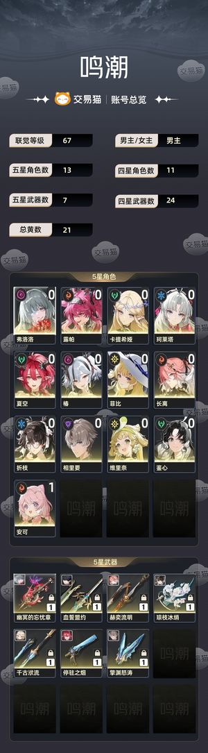 鸣潮【67级】 库洛洛和专武和卡提