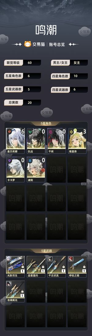 鸣潮【60级】 6 1嘉贝莉娜