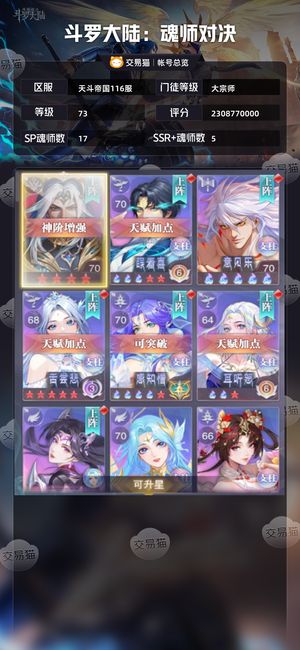 斗罗大陆：魂师对决【大宗师,73级】该有的都有，自己瞧瞧，还不错