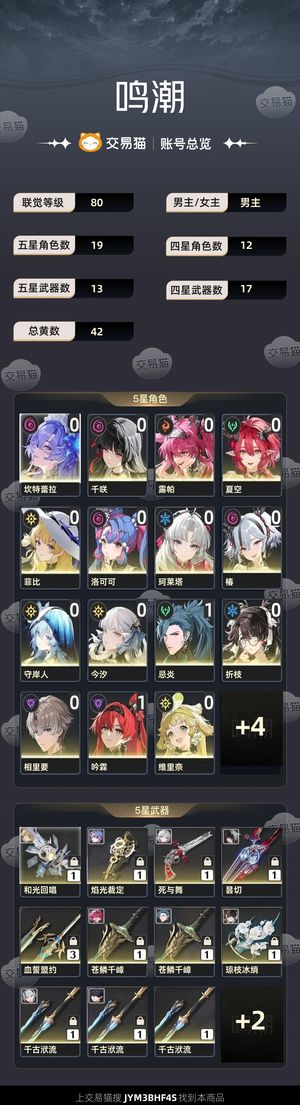 鸣潮【80级】 40黄19金13金武