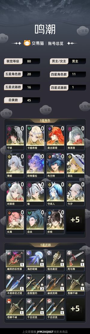 鸣潮【80级】 鸣潮开服号 80级 