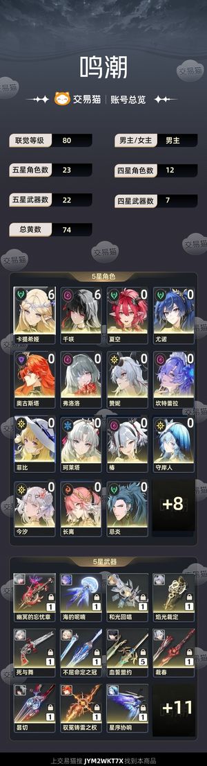 鸣潮【80级】 全皮肤，几乎全女角色卡提千咲满