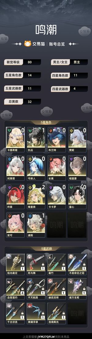 鸣潮【80级】 开服号忙着工作玩不上了