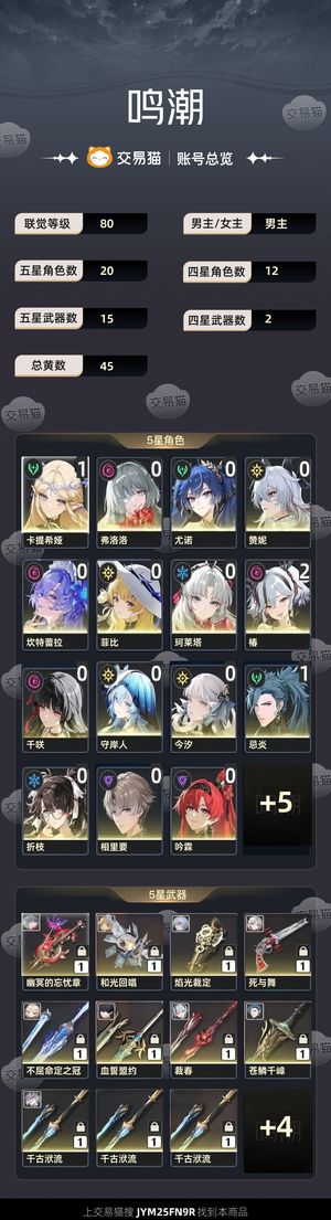 鸣潮【80级】 开服满级毕业